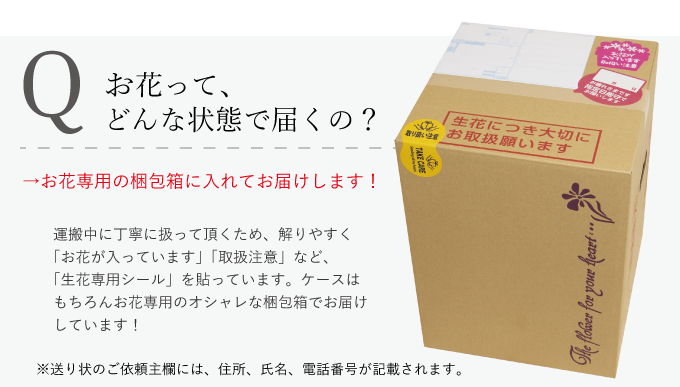 konpo-1